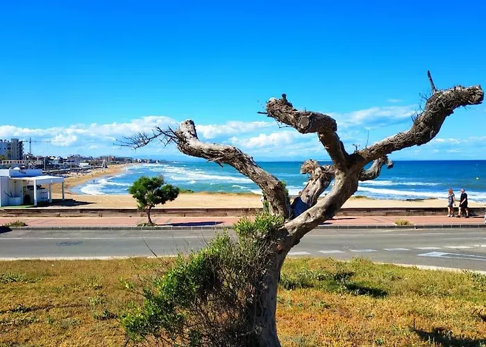 с морской панорамой 公寓 托雷维耶哈